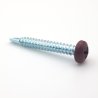 Vis autoperceuses 4,8x38 mm RAL 8012 brun rouge tête cylindrique Ph zinguées par 100
