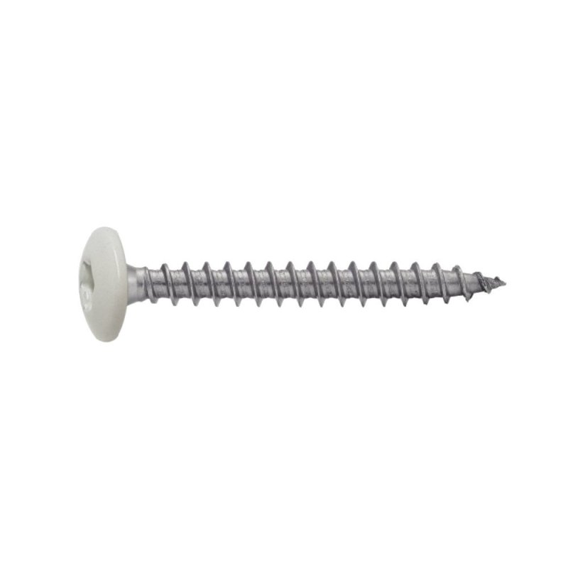 Vis penture 6x20 mm RAL 9010 blanc pur Inox A2 par 50 Vis penture 6x20 mm RAL 9010 blanc pur Inox A2 par 50