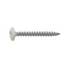Vis penture 6x20 mm RAL 9010 blanc pur Inox A2 par 50
