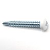 Vis autoperceuses 4,8x38 mm RAL 9003 blanc de sécurité tête cylindrique Ph par 100