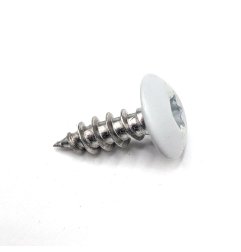 Vis penture 6x20 mm RAL 7035 gris clair Inox A2 par 50