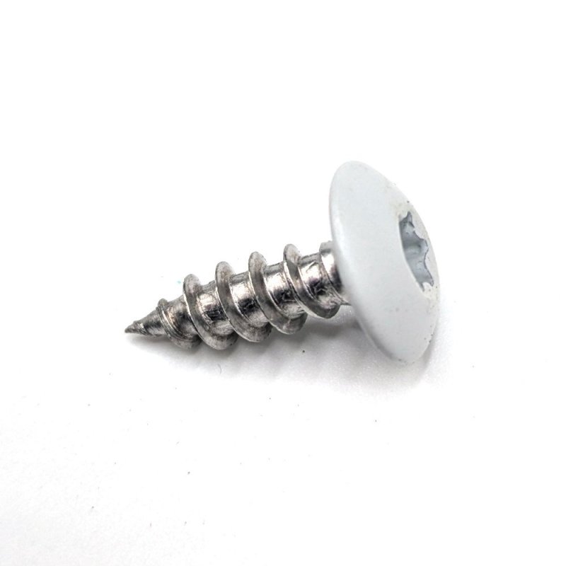 Vis penture 6x20 mm RAL 7035 gris clair Inox A2 par 50