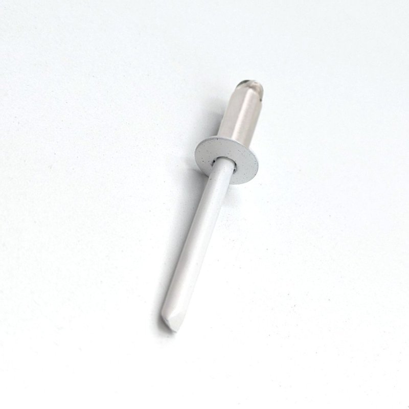 Rivets TP Inox A2 4,8x12 mm RAL 9003 blanc de sécurité par 100 Rivets TP Inox A2 4,8x12 mm RAL 9003 blanc de sécurité par 100