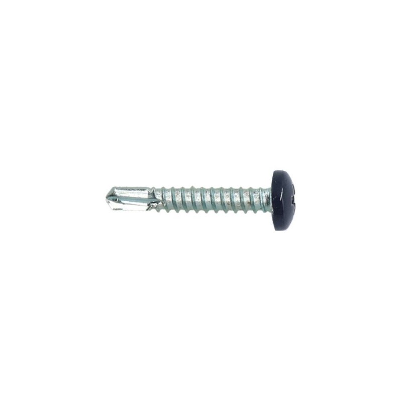 Vis autoperceuses 4,8x50 mm RAL 7016 gris anthracite tête cylindrique Ph zi par 100