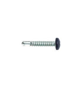 Vis autoperceuses 4,8x50 mm RAL 7016 gris anthracite tête cylindrique Ph zi par 100