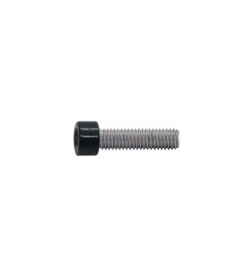 Vis à métaux M5x10 mm RAL 7016 gris anthracite tête cylindrique 6 pans creux Zn par 50