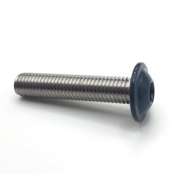 Vis à métaux M10x30 mm RAL 7016 gris anthracite tête bombée six pans creux à embase Inox A2 par 10