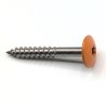 Vis pour panneaux de façade 4,8x38 mm RAL 2003 orange pastel par 100