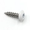 Vis penture 6x35 mm Inox A2 blanc de sécurité RAL 9016 par 50
