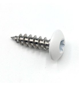 Vis penture 6x25 mm Inox A2 blanc de sécurité RAL 9016 par 50
