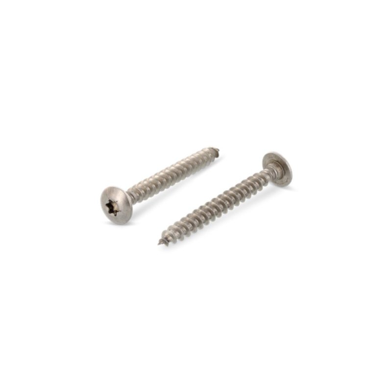 Vis penture 6x25 mm Inox A2 par 100