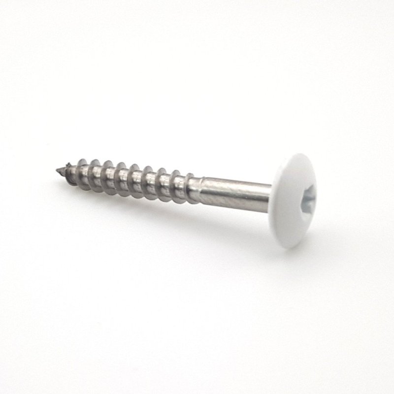 Vis pour panneaux de façade 4,8x25 mm RAL 9016 blanc signalisation Inox A2 par 100