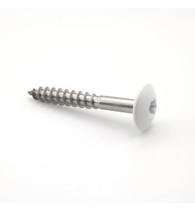 Vis pour panneaux de façade 4,8x25 mm RAL 9016 blanc signalisation Inox A2 par 100
