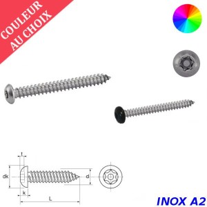 A tôle tête cylindrique Torx avec téton Inox A2